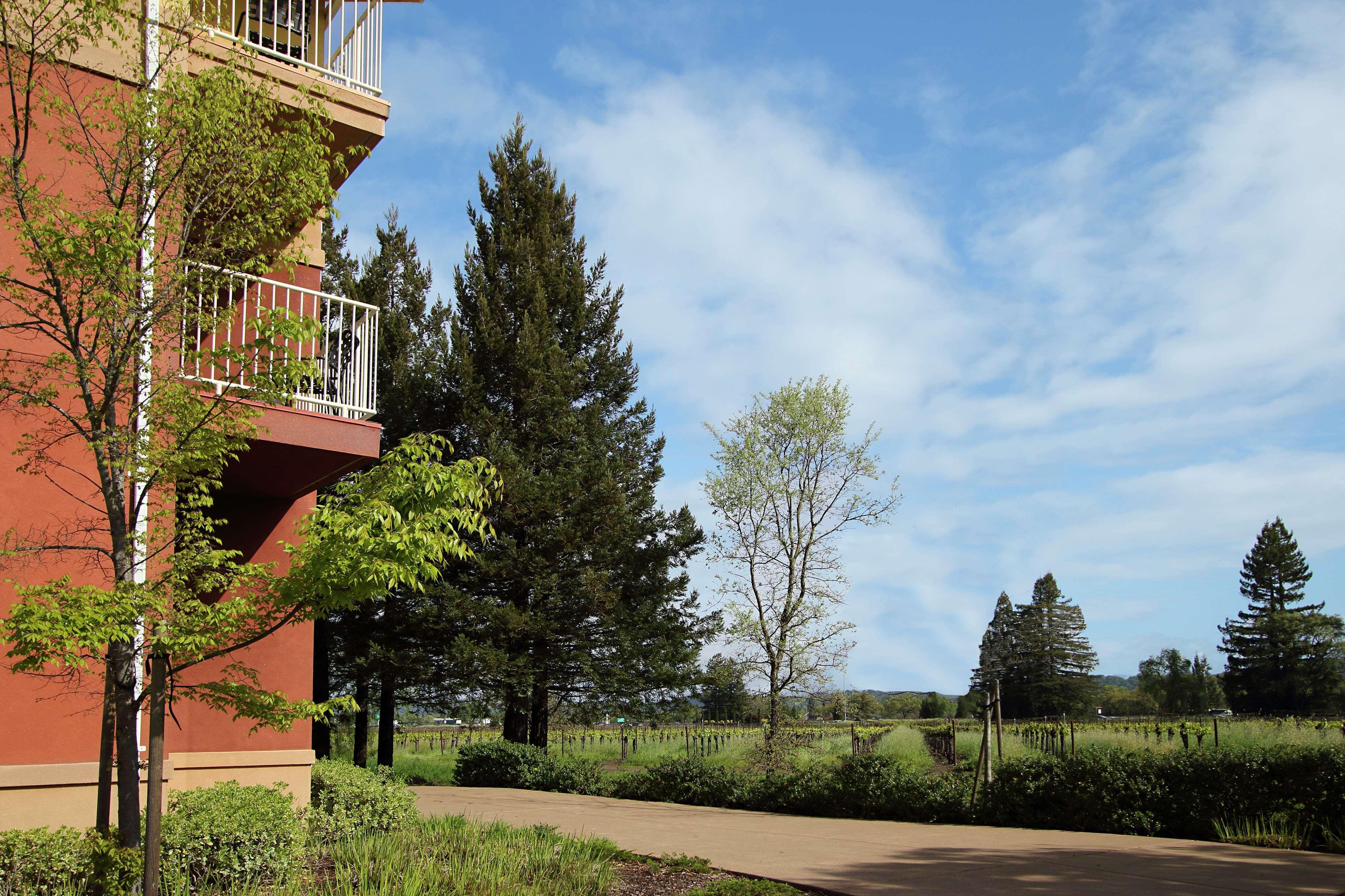 Hilton Garden Inn Sonoma County Airport Santa Rosa Dış mekan fotoğraf