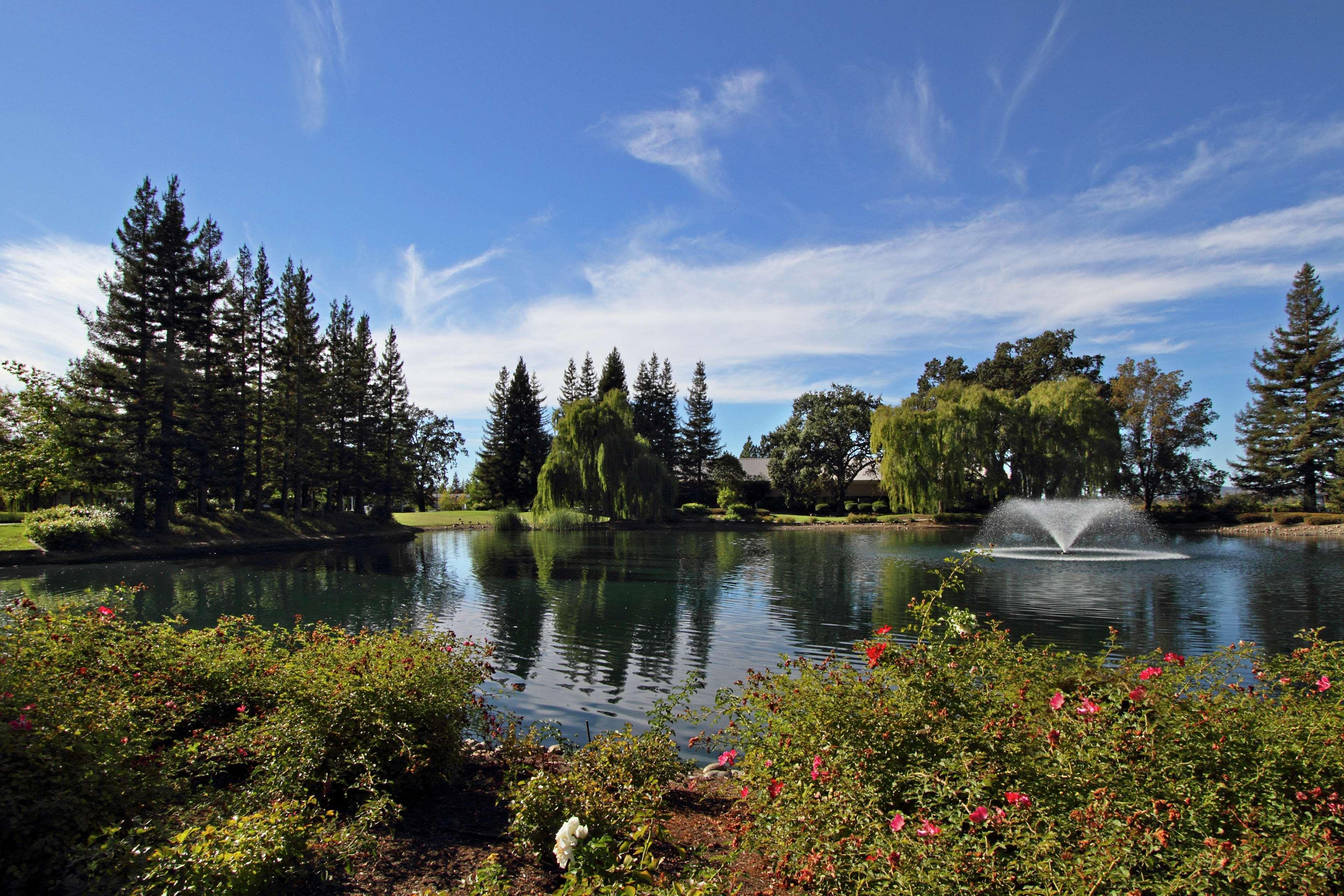 Hilton Garden Inn Sonoma County Airport Santa Rosa Dış mekan fotoğraf